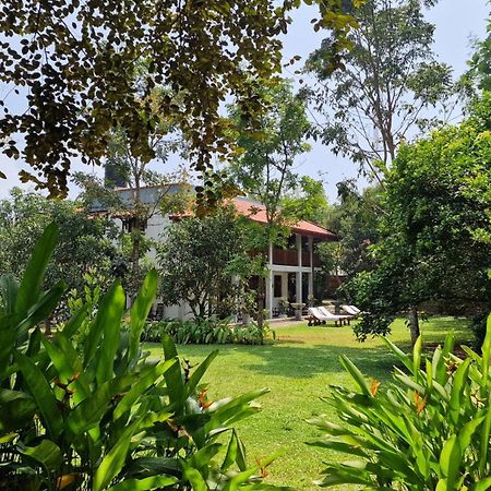 Villa Arana Bentota Exterior photo