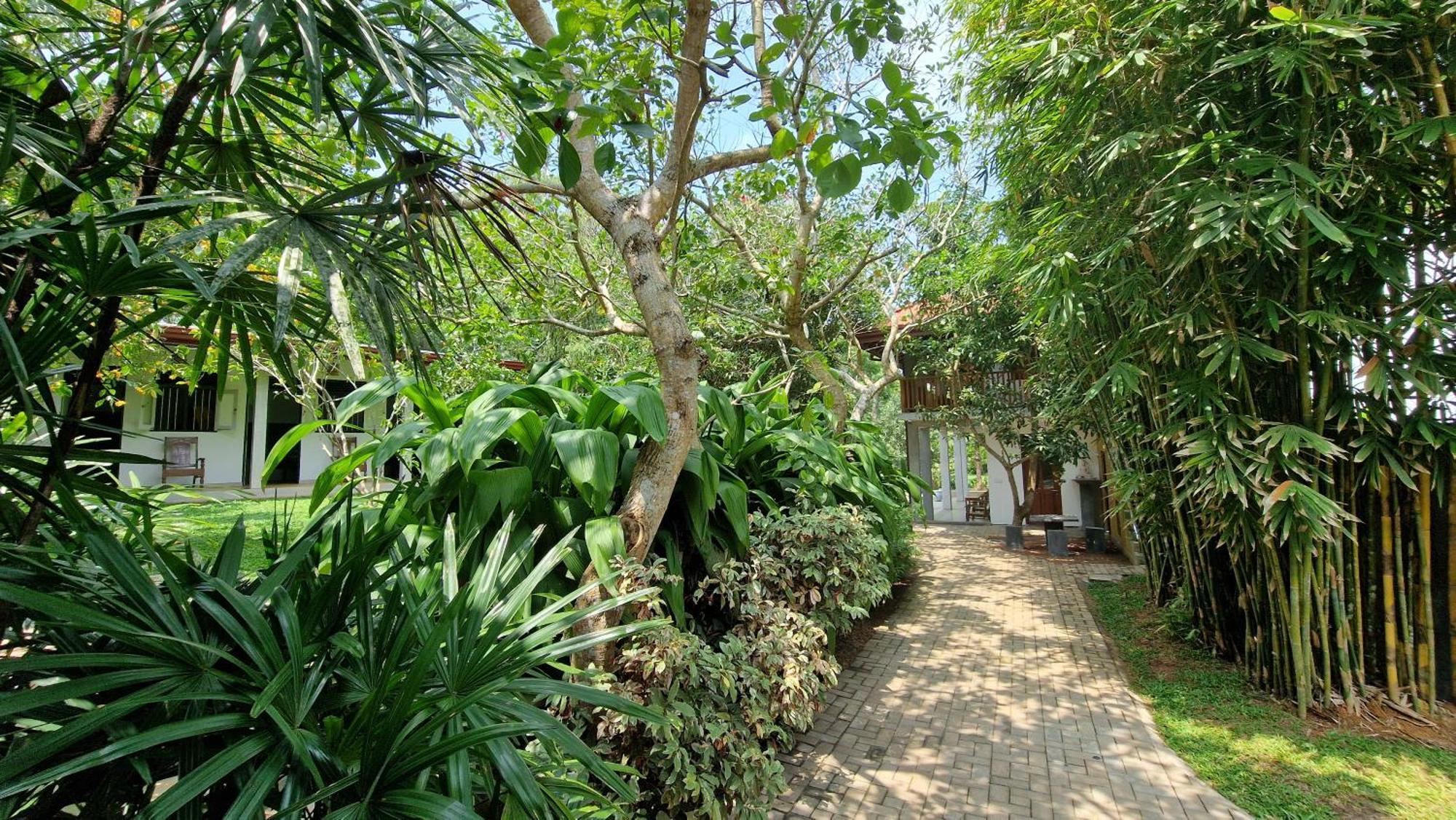 Villa Arana Bentota Exterior photo