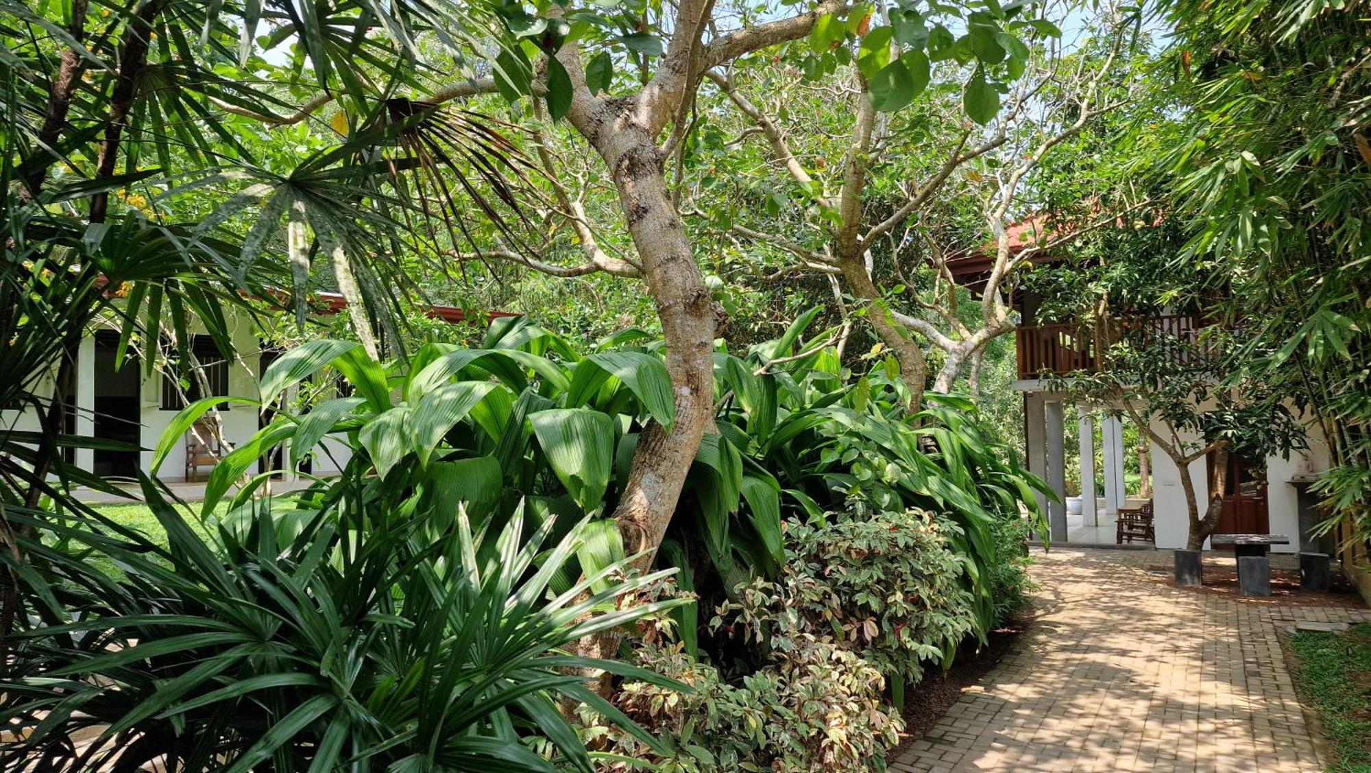 Villa Arana Bentota Exterior photo